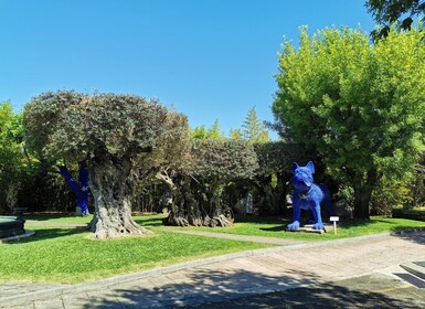 Lissabon - Weinverkostung Setubal, zwei Kellereien, Halbtagestour