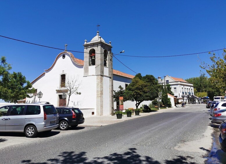 Picture 3 for Activity Lisbon to Wine Tasting Setubal, Two Cellars, Half Day Tour