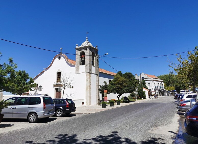 Picture 3 for Activity Lisbon to Wine Tasting Setubal, Two Cellars, Half Day Tour