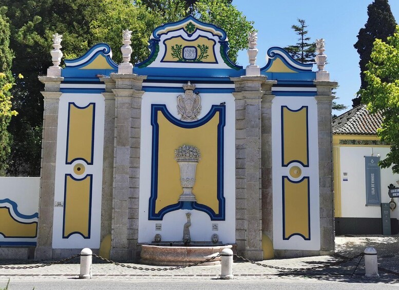 Picture 4 for Activity Lisbon to Wine Tasting Setubal, Two Cellars, Half Day Tour