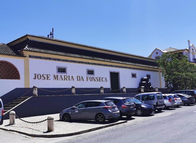 Picture 2 for Activity Lisbon to Wine Tasting Setubal, Two Cellars, Half Day Tour