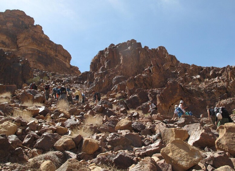 Picture 8 for Activity Hike to Jordan's Highest Mountain, Umm Ad Dami with Stay