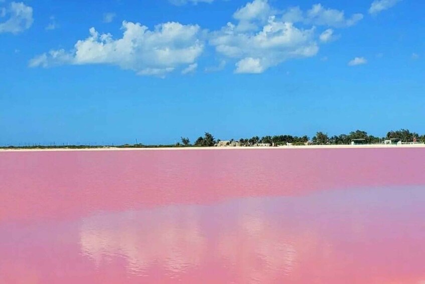 Picture 5 for Activity From Merida: Tour to Las Coloradas with Lunch & boat