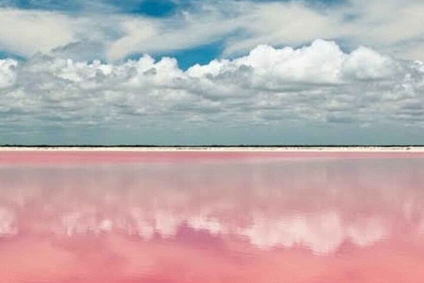 From Merida: Tour to Las Coloradas with Lunch & boat