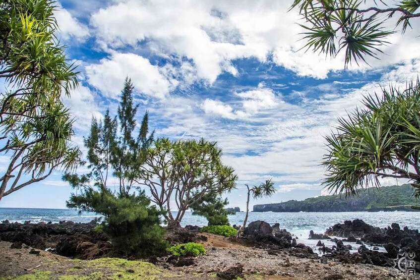 Picture 6 for Activity Maui: Road to Hana Self-Guided Tour with Polaris Slingshot