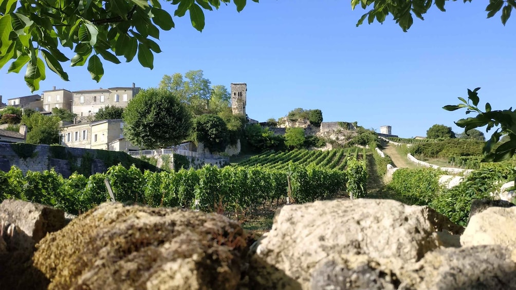 Picture 6 for Activity The Best Of Saint Emilion (Private Highlights Tour)