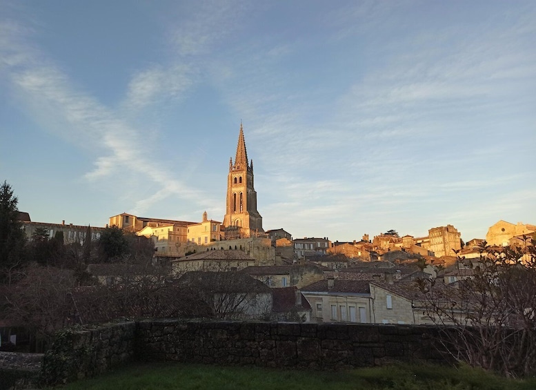 Picture 2 for Activity The Best Of Saint Emilion (Private Highlights Tour)