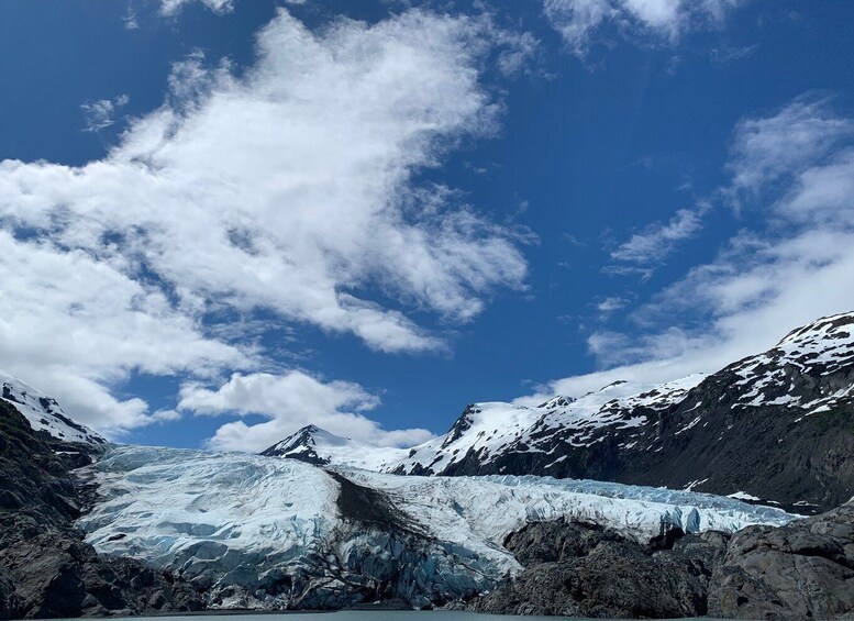 Picture 2 for Activity From Anchorage: Valley of Glaciers & Wildlife Center Tour