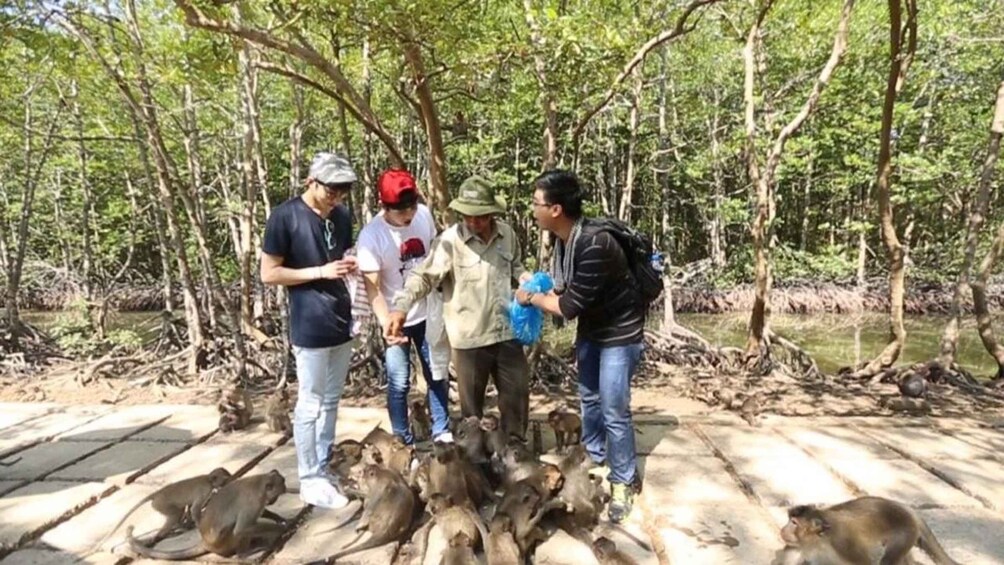 Picture 4 for Activity Can Gio Mangrove Biosphere Reserve 1 Day Tour