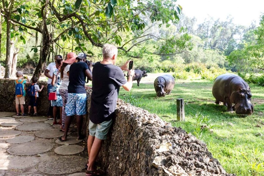 Picture 8 for Activity Mombasa Full Day City Tour
