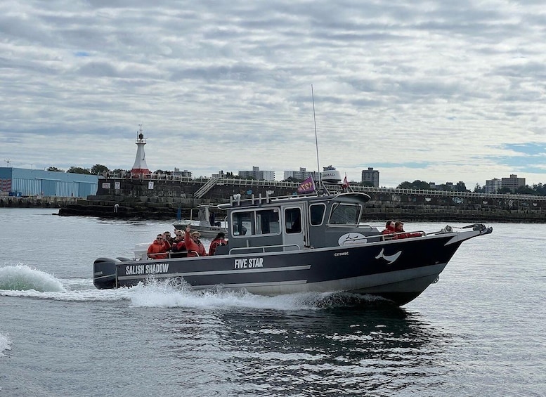 Picture 7 for Activity Victoria: Marine Wildlife & Whale Watch Tour