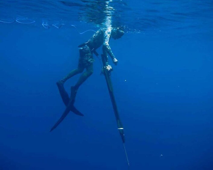 Picture 4 for Activity Private Sayulita Spearfishing: Inshore Adventure All Levels