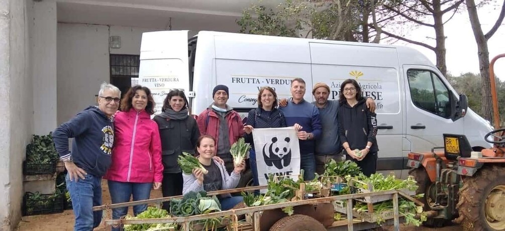 Picture 14 for Activity Cooking Class in a Historic Home in the Heart of Brindisi