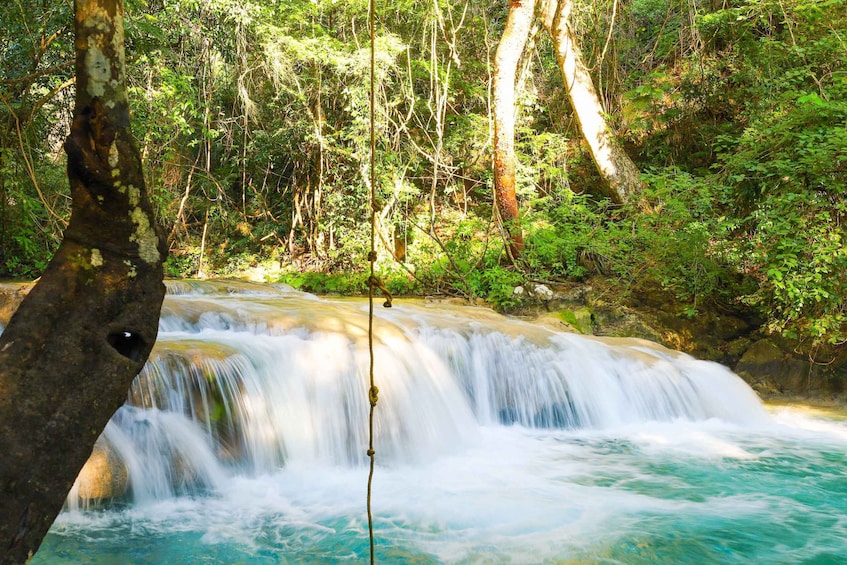 Picture 2 for Activity From La Crucecita: Sierra Madre del Sur Day Trip