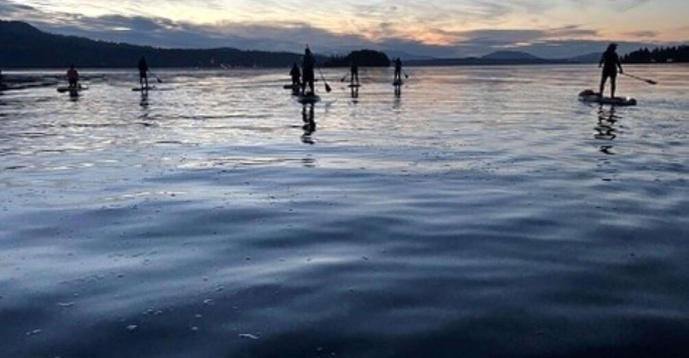 Picture 7 for Activity Brentwood Bay: Stand-up Paddleboard Bioluminescence Tour