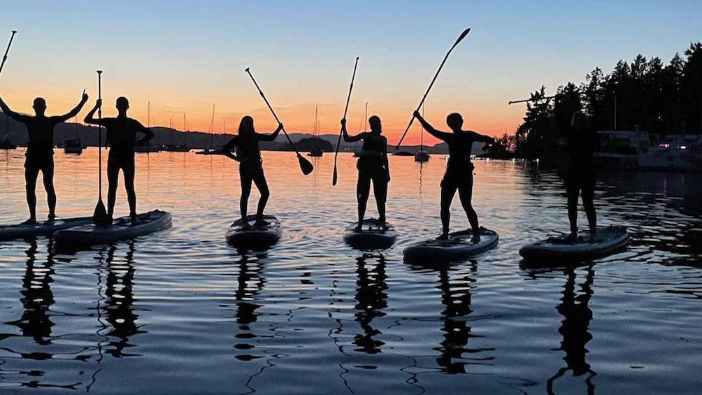 Picture 1 for Activity Brentwood Bay: Stand-up Paddleboard Bioluminescence Tour