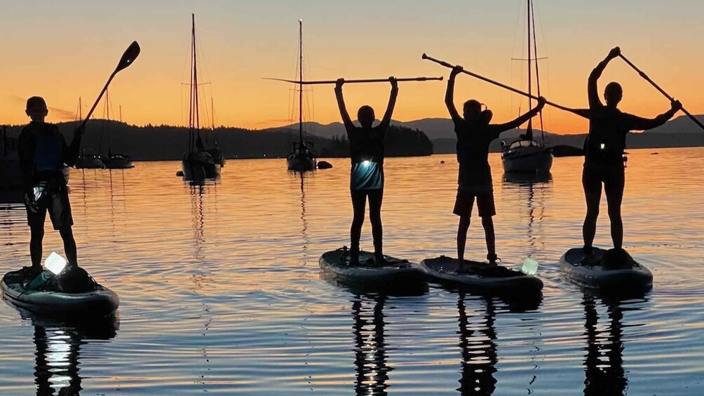 Picture 5 for Activity Brentwood Bay: Stand-up Paddleboard Bioluminescence Tour