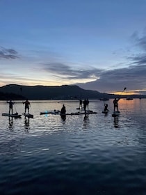 Brentwood Bay: Stand-up Paddleboard Bioluminescence Tour