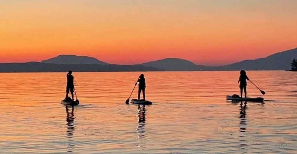 Picture 4 for Activity Brentwood Bay: Stand-up Paddleboard Bioluminescence Tour