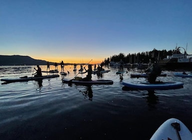 Brentwood Bay: Bioluminescence Tour