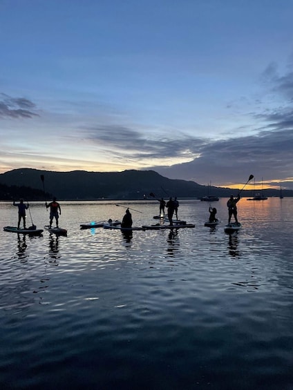 Brentwood Bay: Stand-up Paddleboard Bioluminescence Tour