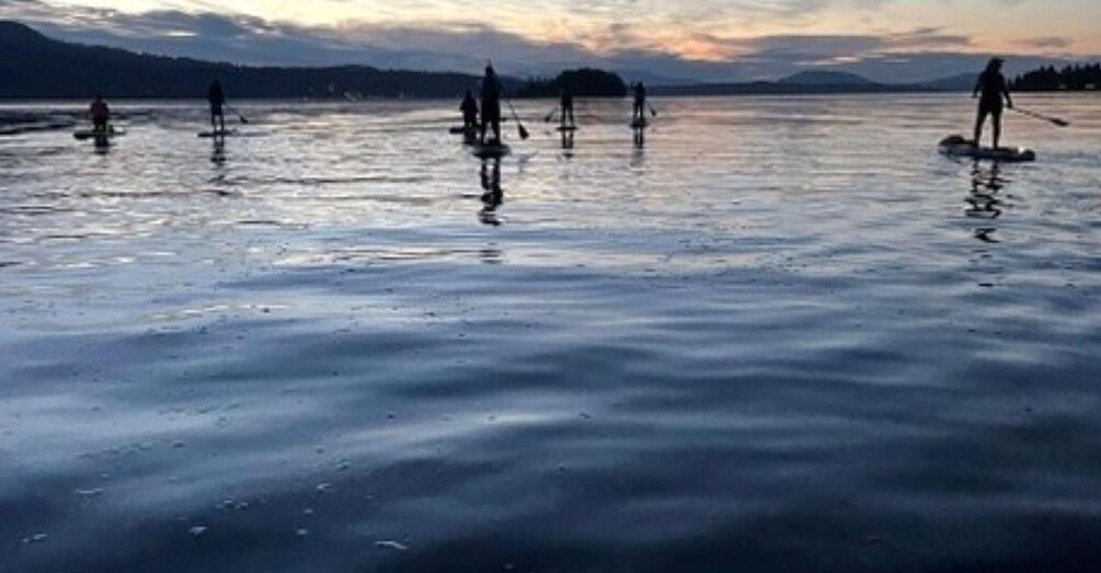 Picture 2 for Activity Brentwood Bay: Stand-up Paddleboard Bioluminescence Tour