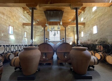 Saint-Emilion : half-day wine-tour into classified estates