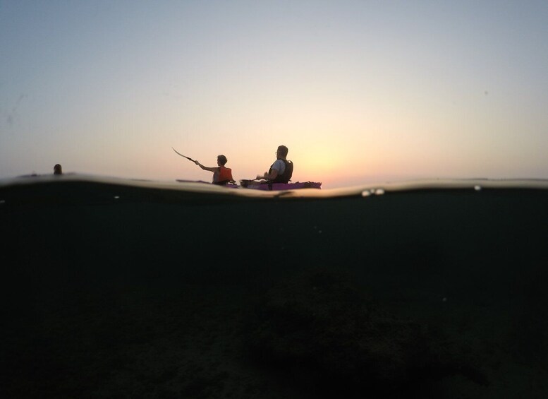 Picture 11 for Activity Brindisi: Kayaking Around Sant'Andrea Island & Giant Turtles