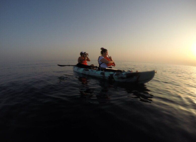 Picture 8 for Activity Brindisi: Kayaking Around Sant'Andrea Island & Giant Turtles