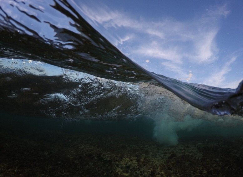 Picture 14 for Activity Brindisi: Kayaking Around Sant'Andrea Island & Giant Turtles