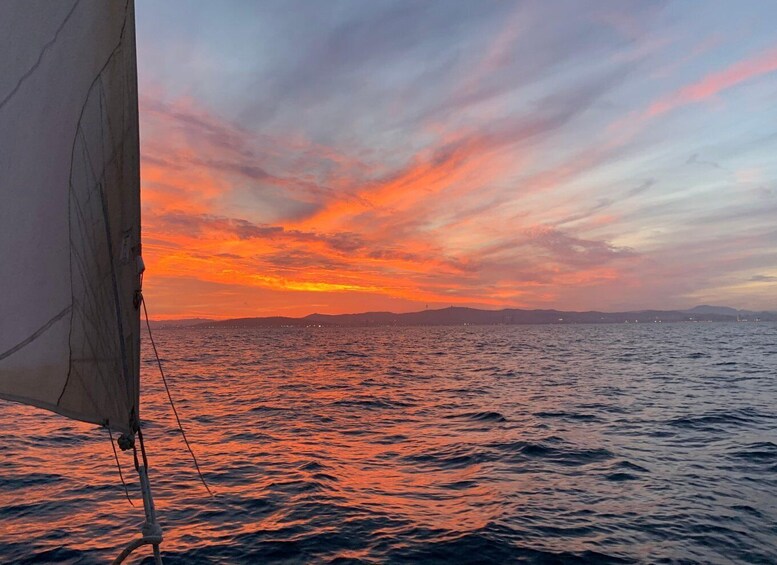 Picture 1 for Activity Private sailing trip along Costa del Sol- Benalmádena