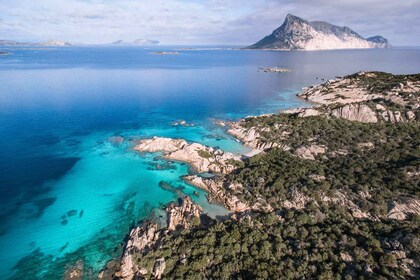 Tavolara : Grand excursion de l'archipel depuis San Teodoro