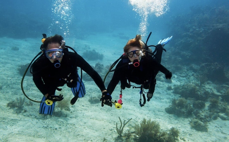 Picture 1 for Activity From Baku: Scuba Diving Experience for Beginners