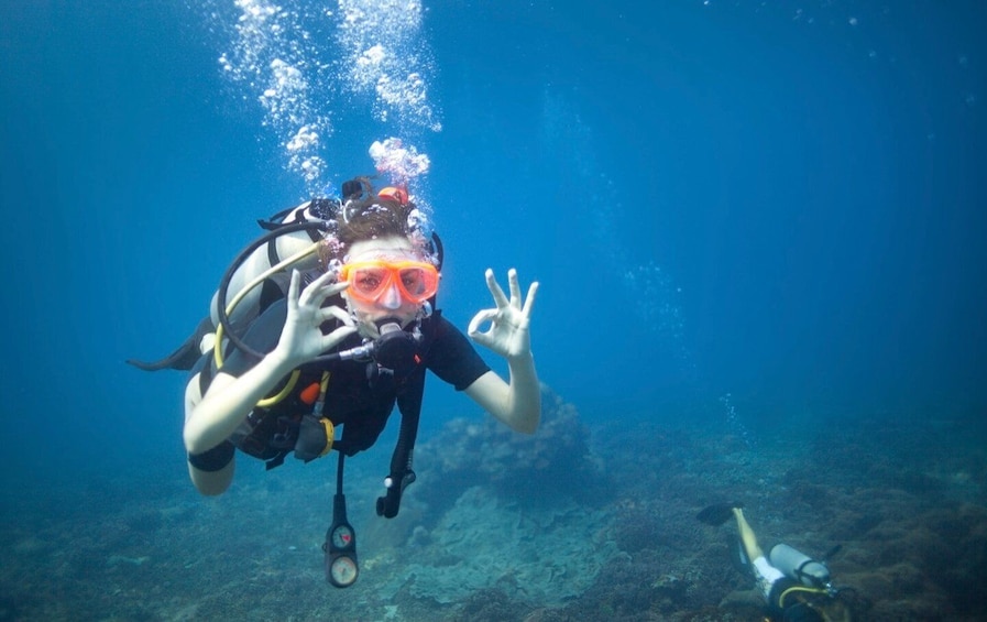 From Baku: Scuba Diving Experience for Beginners