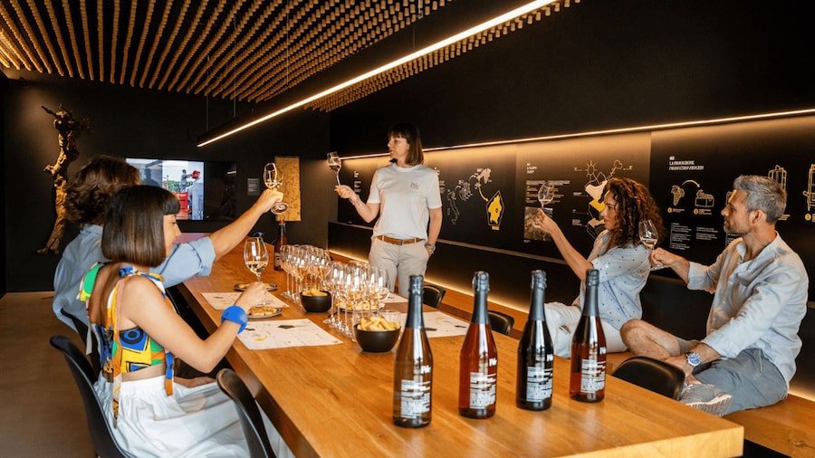 Picture 3 for Activity Valdobbiadene:Prosecco tasting,appetizers,winery & vineyard