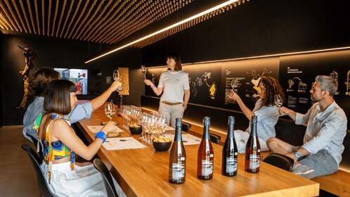 Valdobbiadene:Prosecco tasting,starters,winery & vineyard