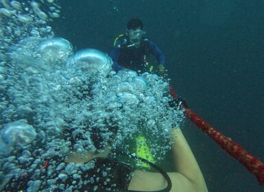 Discover scuba diving in Dubai , Try a dive - PADI course