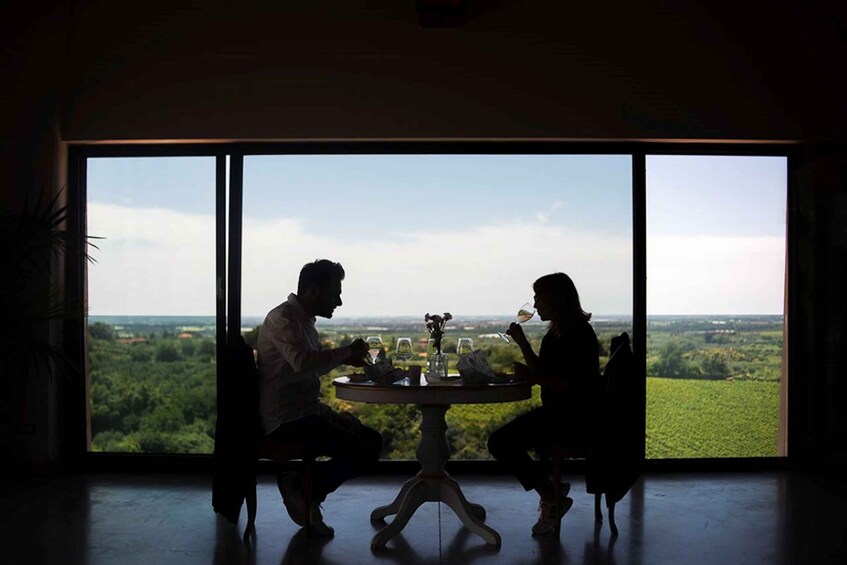 Picture 3 for Activity Cori: Guided Winery Tour with Light Lunch and Wine Tasting