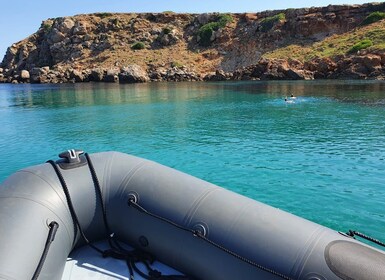 Fornells: Gita in barca alle calette e alle spiagge con snorkeling