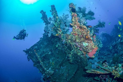 Bali: Tulamben-bukten og dykket på USAT Liberty Wreck Dive