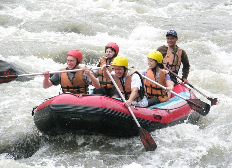 Picture 13 for Activity Chiang Mai: Explore forests to waterfalls and Water Rafting