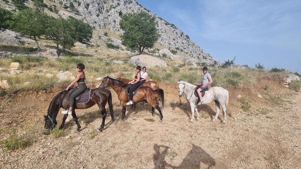 Picture 2 for Activity Podstrana: Guided Horseback Riding Experience