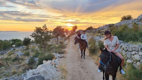 Podstrana: Guided Horseback Riding Experience