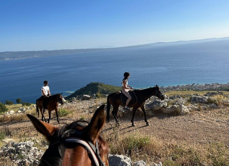 Picture 1 for Activity Podstrana: Guided Horseback Riding Experience