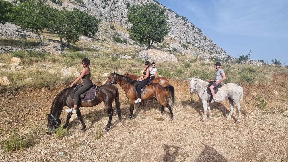 Picture 2 for Activity Podstrana: Guided Horseback Riding Experience