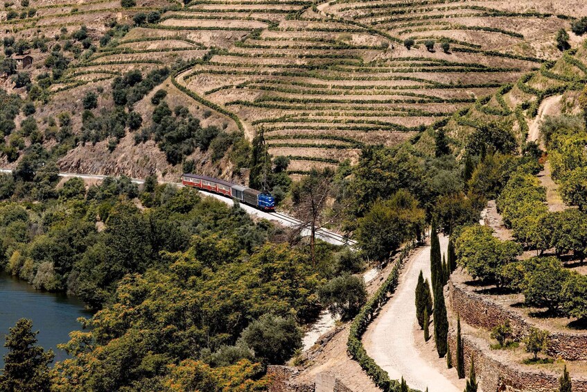 Picture 9 for Activity Pinhão: Douro River Boat Tour with Lunch