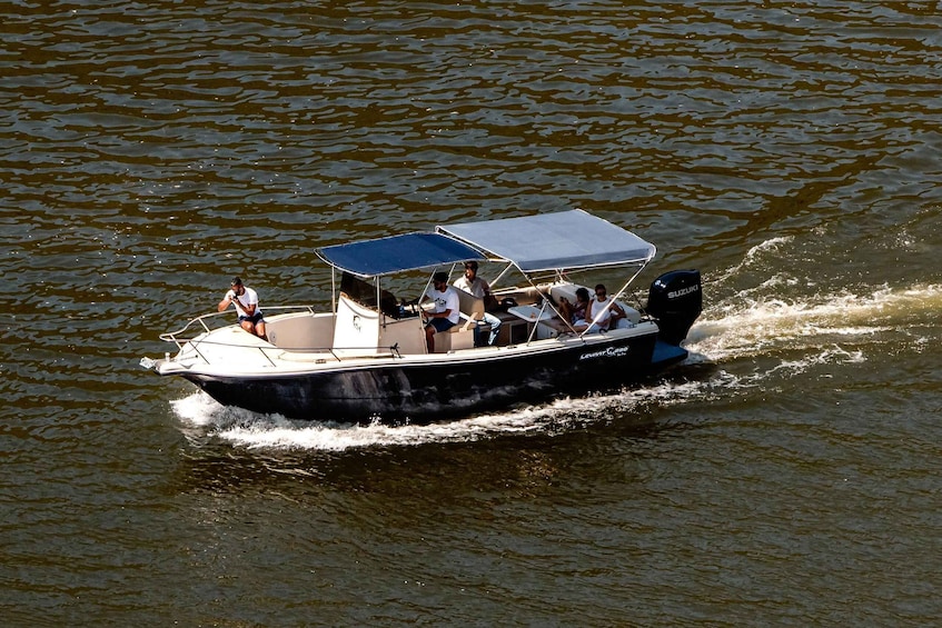 Picture 2 for Activity Pinhão: Douro River Boat Tour with Lunch