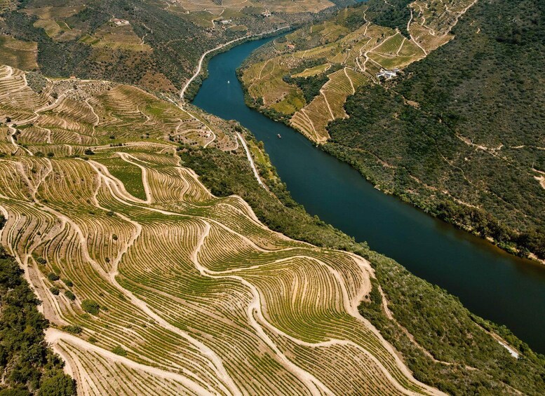 Picture 3 for Activity Pinhão: Douro River Boat Tour with Lunch