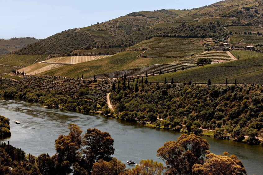 Picture 7 for Activity Pinhão: Douro River Boat Tour with Lunch