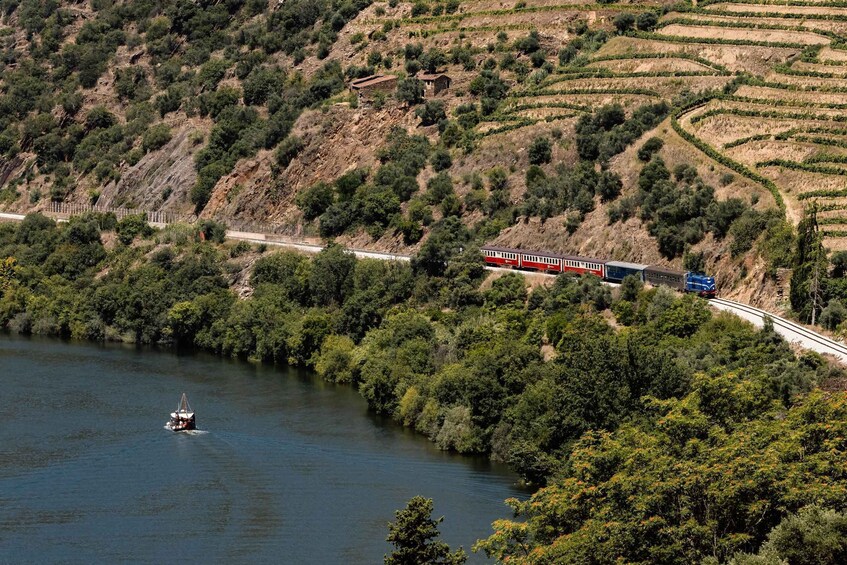 Picture 13 for Activity Pinhão: Douro River Boat Tour with Lunch